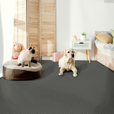 grey carpet in bedroom with dog and cat.